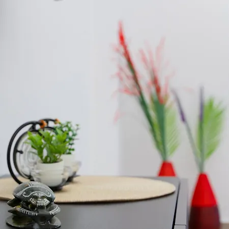 Апартаменты Spacius And Comfy Салоники